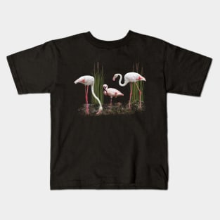 Greater Flamingo and Lesser Flamingo in Kenya / Africa Kids T-Shirt